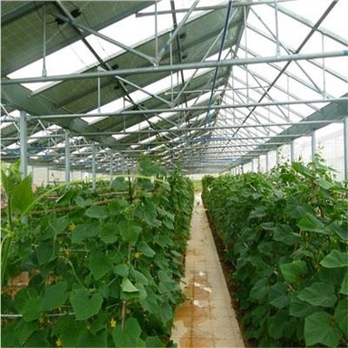 Systèmes de montage PV agricoles