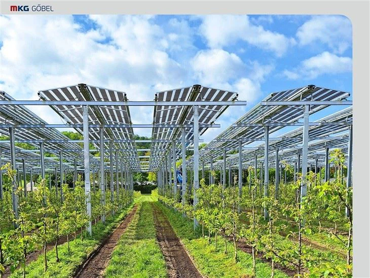 Cost-Effective Agri-PV Mounting Solutions | Lower Installation Costs best