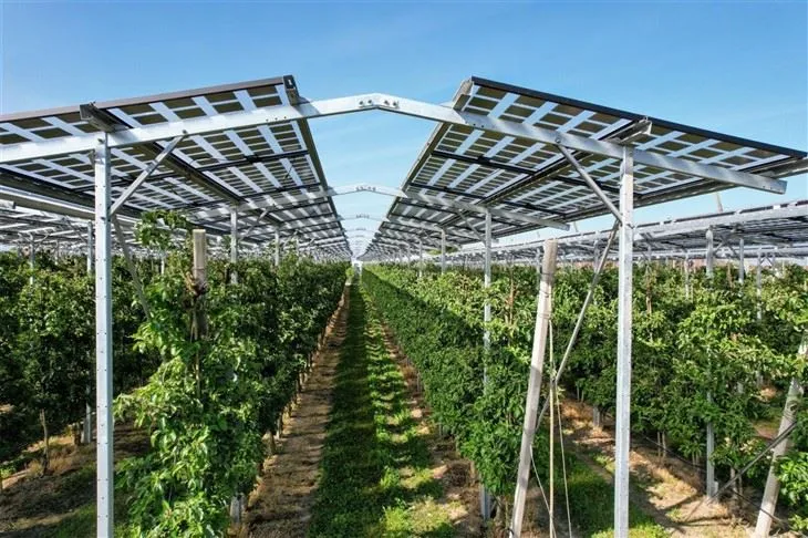 High-Clearance Solar Mounting Solutions For Dual-Use Agriculture suppliers