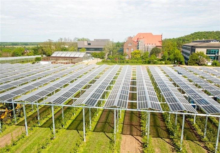 High-Clearance Solar Mounting Solutions For Dual-Use Agriculture best