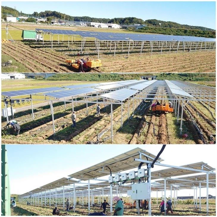 High-Clearance Solar Mounting Solutions For Dual-Use Agriculture price