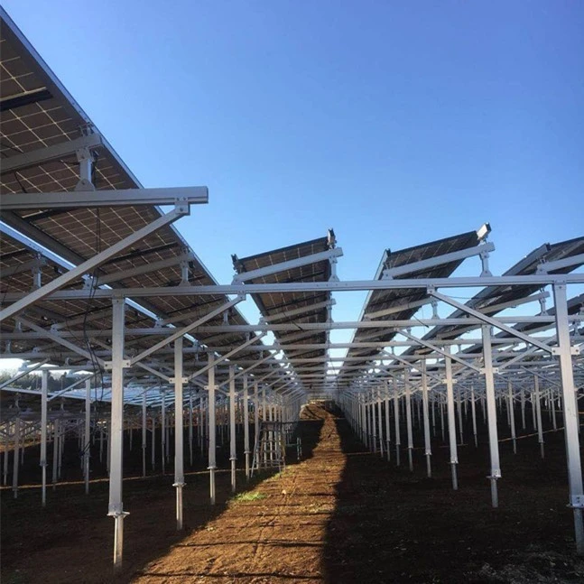 PV Mounting System For Agrivoltaics high quality