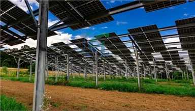 Système de montage d'usine agricole photovoltaïque pour ferme solaire